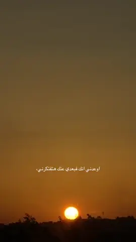 #alexandria #sunset #road #amrdiab #خليك_معايا #عمرو_دياب #اوعدني #مصر #promise #explore #foryoupage #roadtrip #onesidedlove #tiktok #music #f 