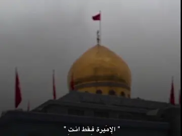 فِقط انتِ🤎. #fyp #العباس_عليه_السلام #العباس_ابوفاضل #قصائد_حسينية 