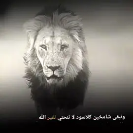 #🦁king_team🦁  #عبارات_جميلة_وقويه😉🖤 