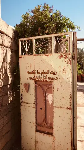 ريت الحلم ما گضه . #explore #اكسبلورexplore #fyp #بدون_موسيقى 