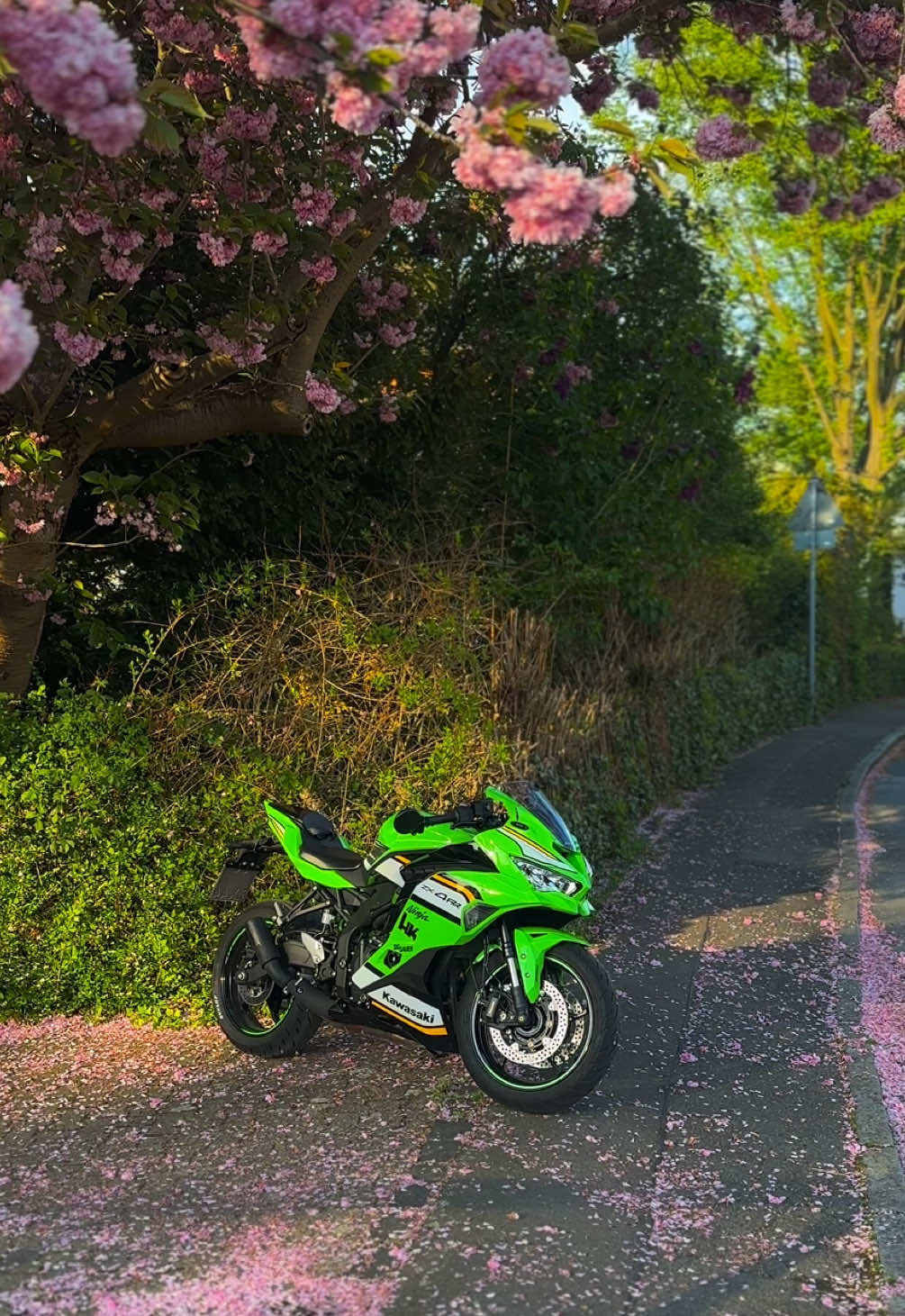 #kawasaki #zx4rr #ninja #viral 