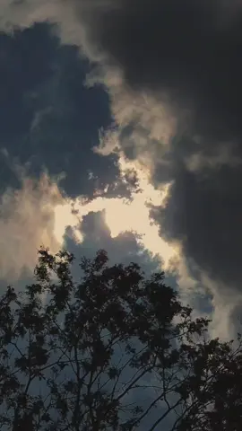 #avangedsevenfold #foryoupage #saveme #savemeavengedsevenfold #synystergates #fyp 