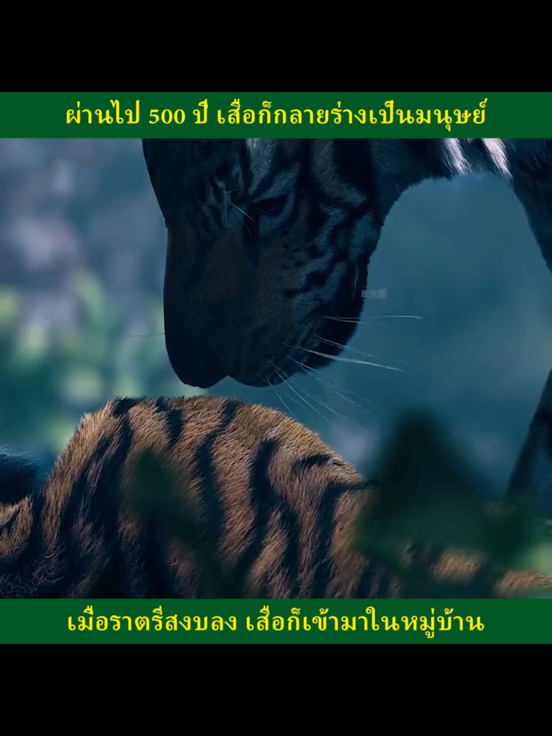 ผ่านไป 500 ปีเสือก็กลายร่างเป็นมนุษย์#ภาพยนตร์ #ซีรีย์ #สปอยหนังในtiktok #หนังสั้น 