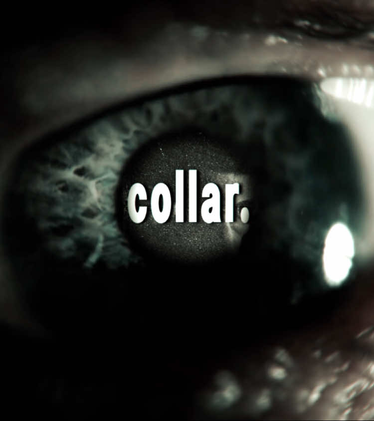 Tried something new //ib: @𝄞bimbim𝄞 #fyp #foryoupage #viral #bbcsherlock #johnlock #sherlockedit #sherlockholmes #sherlock #benedictcumberbatchedits #martinfreeman #lomlbatch #aftereffectsedits 