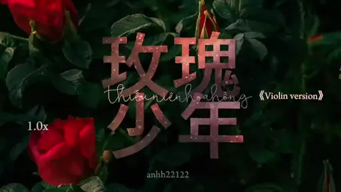 1.0x《Thiếu niên hoa hồng》｜20/4#🍁kazuhaxscara🍀 #story_tam_trang3 
