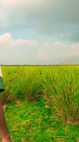 বন্ধু যখন মাঠে হিন্দি গান.. 😁👈 #tiktok #foryou #virall #on  #support #please #💓💓💓  @md masud rana mahim 