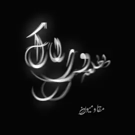 في آمان الله ، نرجو براء الذمة🤍#مقاوميون #مقاوميون_الى_الابد #fyp 