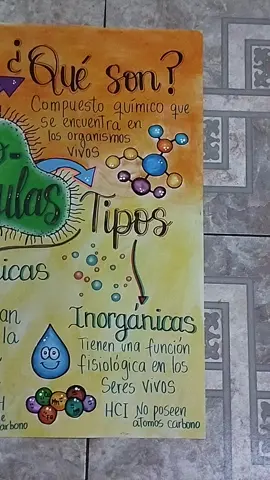 Lámina explicativa sobre las Biomoléculas, pautas dadas por el cliente , muchas gracias por la confianza 😊🙏 gracias papito Dios 🙏 y seguimos... #pancarta #laminasescolares #trabajoescolar #pancartapersonalizada #lasbiomoleculss #valencia #carabobo #floramarillo  #biologia