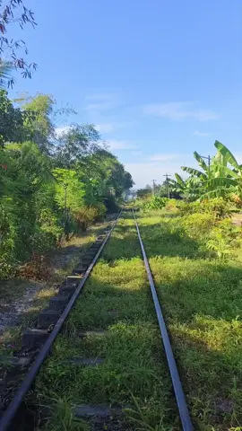 Pamplona, Camarines Sur 😍🥰our place 😍🥰 #province_life