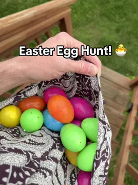 Eggcellent!