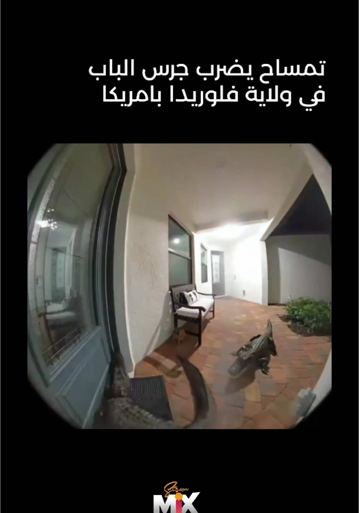 في ولاية فلوريدا تفاجئ احد السكان بقيام تمساح برن جرس منزله  بينما كان الاخر في انتظار الباب ليفتح وكأنهم يقومون بعمل فخ لصاحب المنزل،  وتعتبر فلوريدا موطنا للتماسيح ويعيش فيها اكثر من مليون تمساح، ولكن اثارت هذه الواقعة استغراب الجميع فنادرا ما تكون التماسيح بهذا الذكاء والجرأة.  #whattowatch  