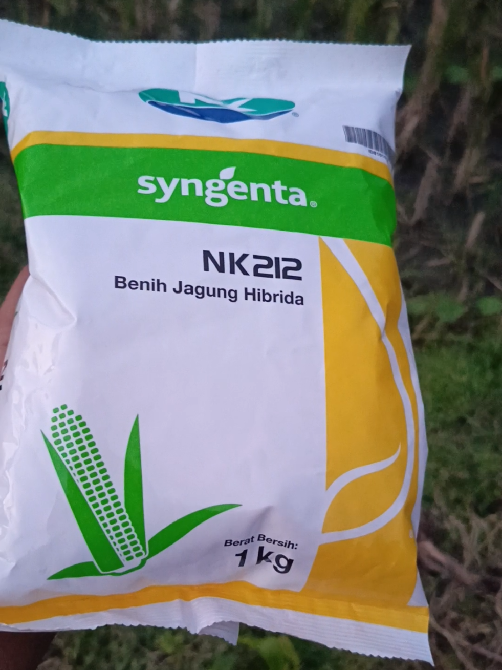 Benih Jagung NK 1kg NK Syngenta NK212 benih jagung berkualitas #NK212 #jangung #jangungberkulitas #jangungtani #petanijagung