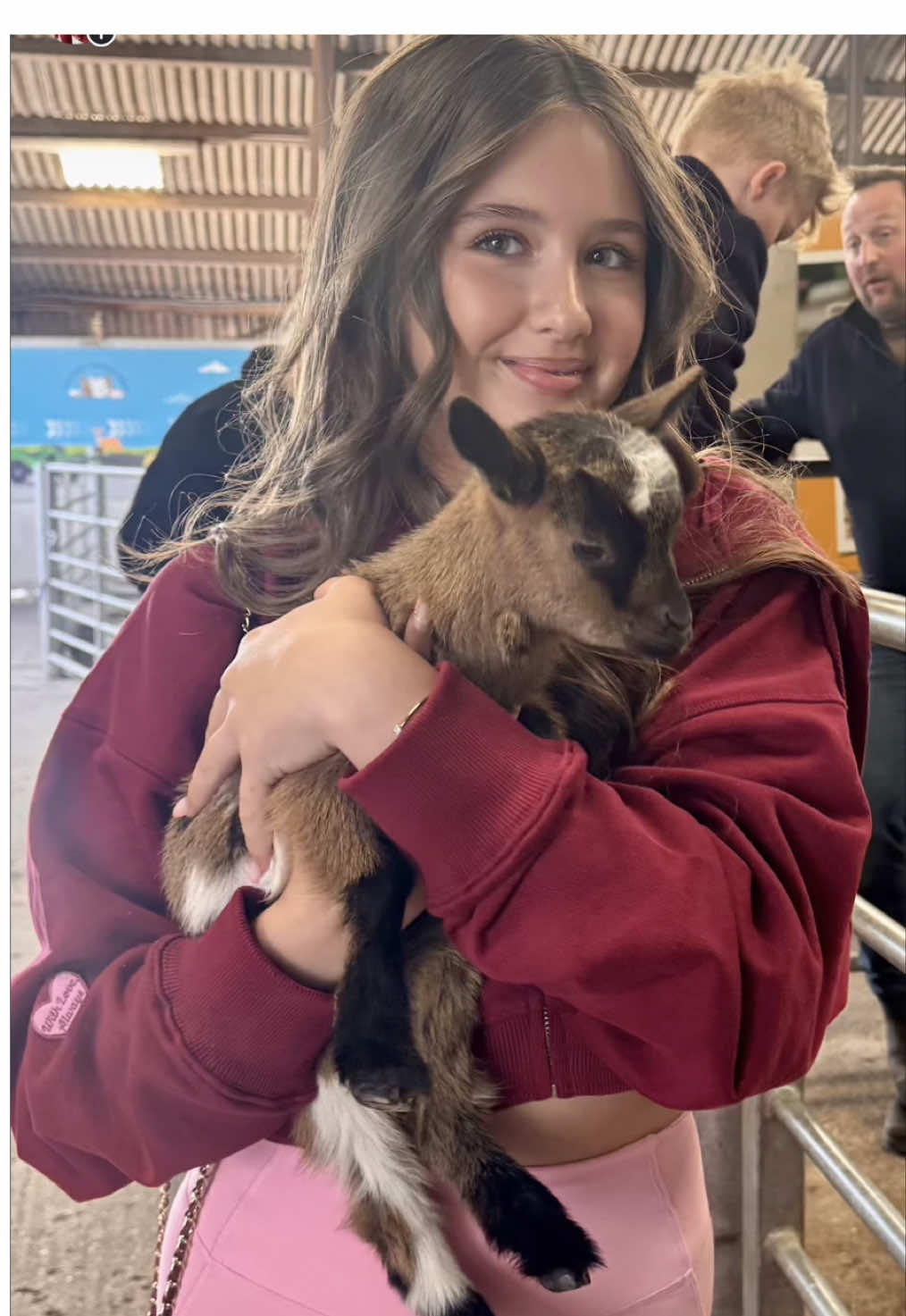 Come feed some lambs with me at @Windmill Animal Farm (cutest day) 🐑🩷 #fyp #viral #lambs #feedinglamb #babysheep #cute 