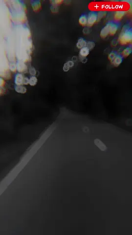 #পাখি যখন অবুঝ ছিল...! পুষে ছিলাম আমি...! এখন পাখির বুঝ হয়েছে...! পর হয়েছি আমি......!? 🥹❤️‍🩹