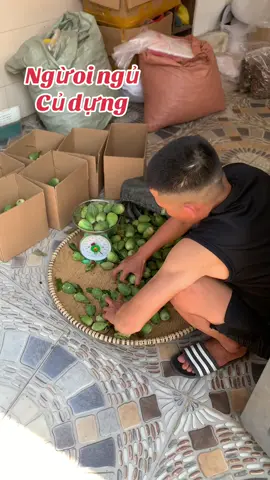 #thanlanbamkinh #muongthanhluxury #tang4muongthanh 