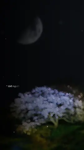 #nhachaymoingay #THICHNGHENHAC 