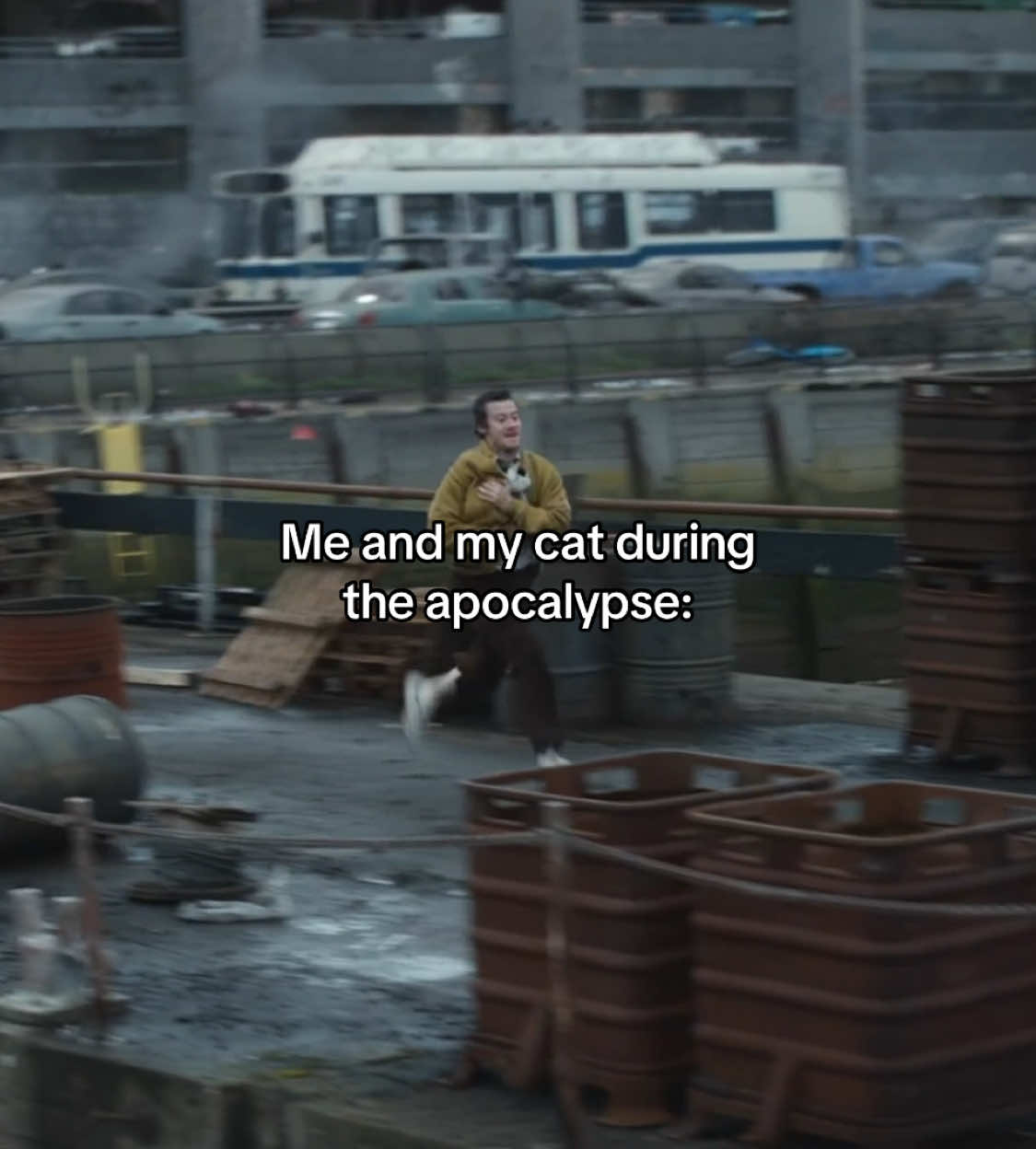 No way I left him #fyp #cat #aquietplace 