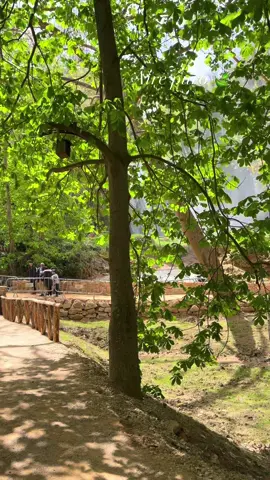 📍Monasterio de piedra 🍃