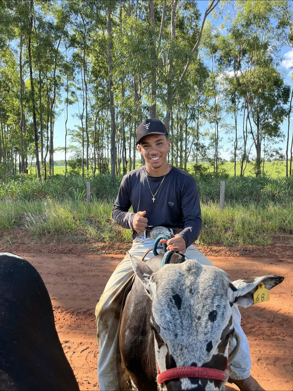 #CapCut #boimanso #pecuaria #doma 