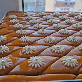 #fyp #fyp #fyp #fyp #fyp #fyp #fyp ###fyp #fyp #fyp #fyp ####fyp #fyp #fyp 