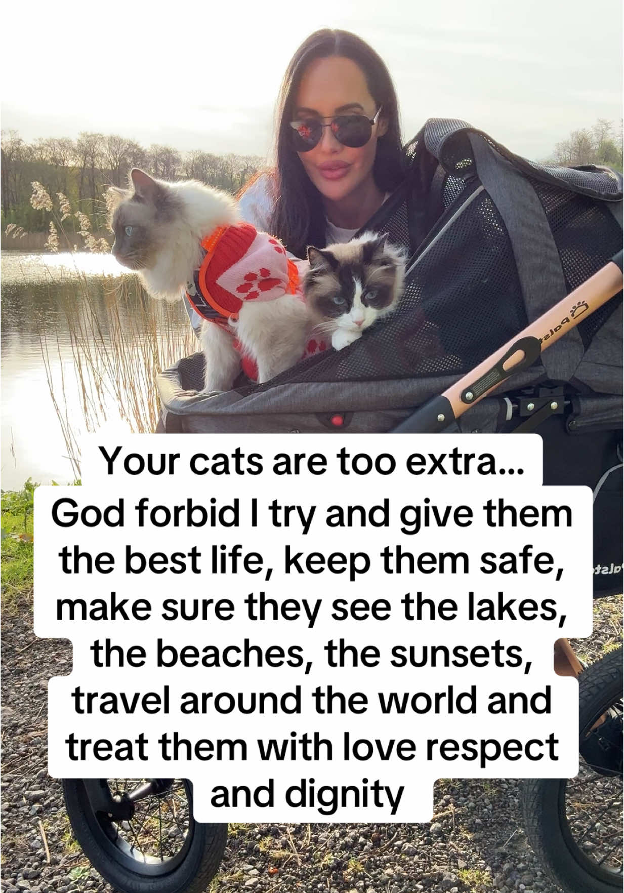 God forbid…  #trendingcat #catsoftiktok #viralcatvideos #cattok 