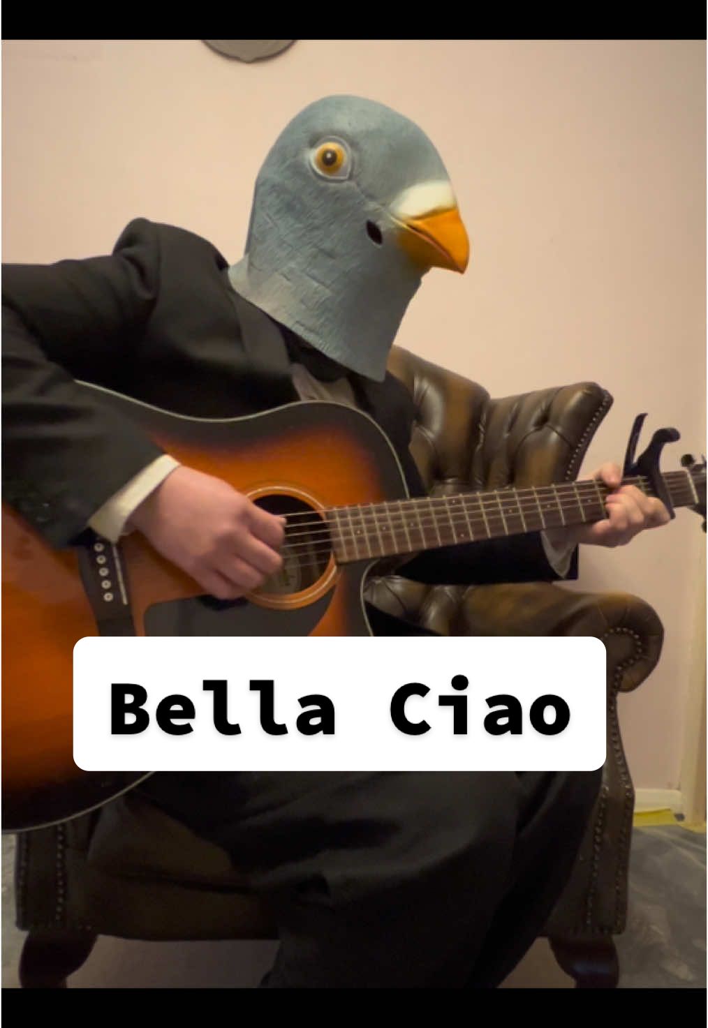 Cooco Cooo (Bella Ciao)  A bit of a change from the usual. An old Italian folk song which I first heard in one of my favourite shows Money Heist / La Casa De Papel. I love this song and still listen to it all the time.   #pigeon #pigeons #foryoupage #coversong #guitar #guitartok #foru #foryou #foryoupage #foryoupage❤️❤️ #fyp #bekindtoanimals #bekind #guitar #guitarist #musica #music #guitarista #musik #wholesome #birdlover #comedymusic #musiccomedy #comedy #guitartok #sadsong #guitaristoftiktok #coversong #songbirdocarina #paloma #cantante #canciones #cancion #guitarra #lacasadepapel #moneyheist #bellaciao 