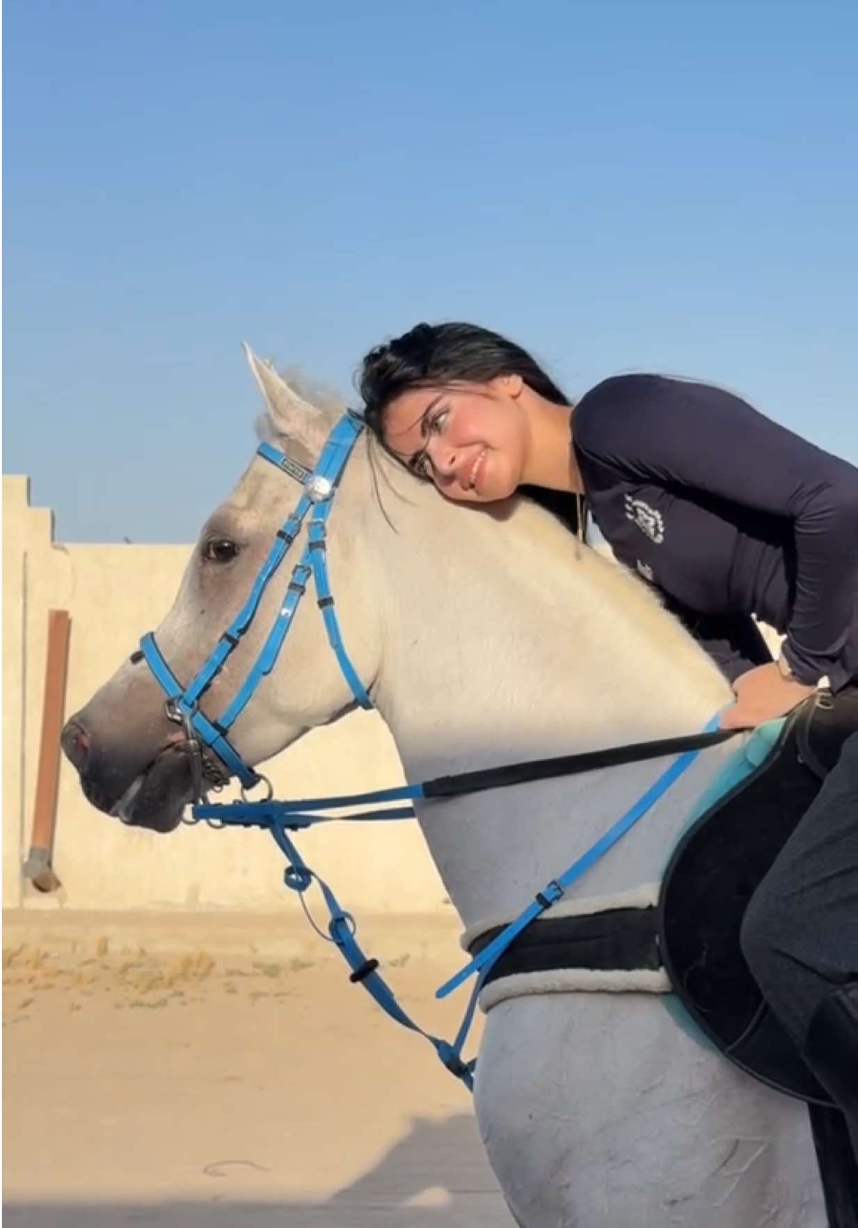 ما فوق الخيل إلا أهلها🫡 #خيل_وخياله🐎 #foreyou #اكسبلور 