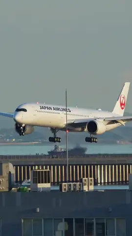 #japan_airlines #Airbus350_1000 #landing #Aviation 