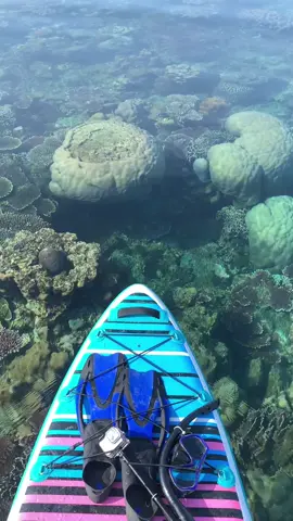 📍Pulau Salma, Desa Pulau Gersik Gak bisa renang? Tenang aja masih bisa liat dari atas pake paddle board wkwk #pulausalma #pongok #bangkaselatan #bangkabelitung #jelajahindonesia #wonderfulindonesia #explorebangka 