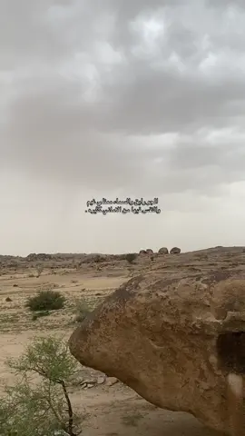#اكسبلورexplore_o_تصويري📸 #قصايد #سجه_البر #اجواء 