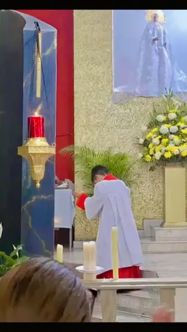 #Alabare #Alabare #A #Mi #Señor #Monaguillo #Alabando #Danzando #Adorando #videoviral #tik_tok ❤️‍🔥