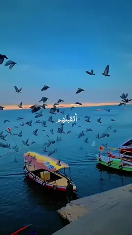 Kun anta  🫠😊 💕 🎧 ❤️‍🩹  . #nasheed #viral #allah #fyp #muhammadpbuh #makkah #madinna #islamiccontent #islaam #prophetmuhammad  #viral #4r076 #viralfast #allah #allahhuallah  #colorful #fym  #fyp #islamicbeatz #arsthetic #meni_wri8es #fypthis #fyp #goforyou #nasheed #growmyaccount #alllah #kabbah #makkah #madina #muslim #islamic_video #islamicquee07 #islam_stix #alex_wri8s #islamicstatus  #gul_ayeshay  #arsthetic #alex_wri8s #islam_stix #haram_wri8s #lighten_soull 