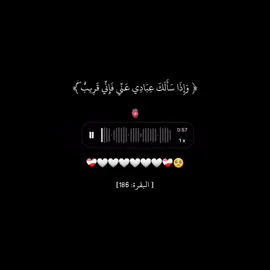 ﴿ وَإِذَا سَأَلَكَ عِبَادِي عَنِّي فَإِنِّي قَرِيبٌ ۖ﴾||//[ البقرة: 186]#اكتب_شيء_تؤجر_عليه🌿🕊 #قران #قران_كريم_ارح_سمعك_وقلبك 