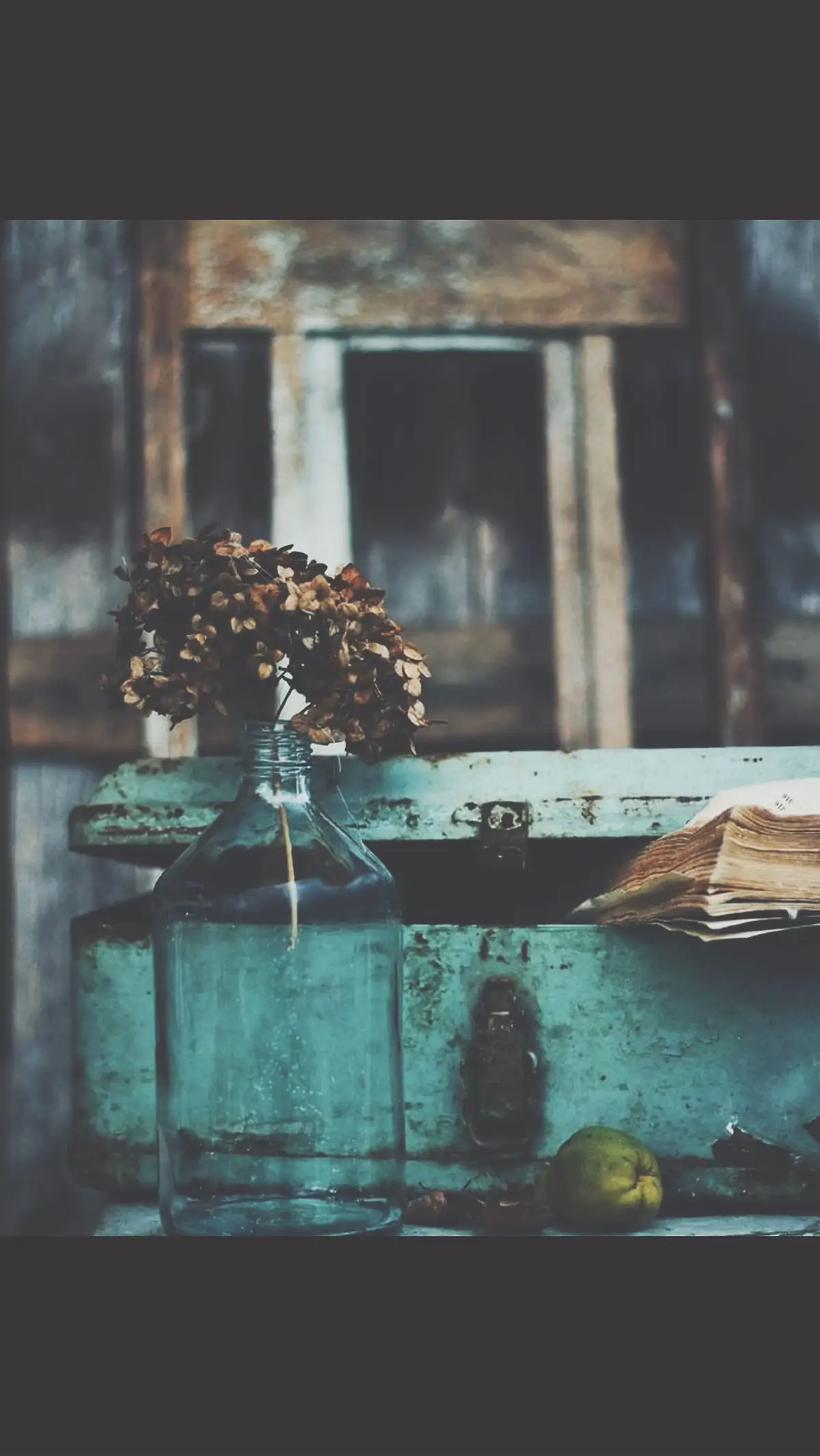 #موسيقى #🎶🎧 #🌼 