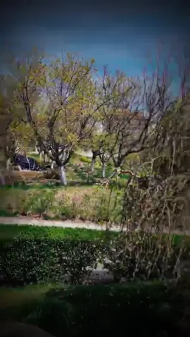 #fyp #foryou #فوريو #afghanistan🇦🇫 #moraa #kabul #afshar 