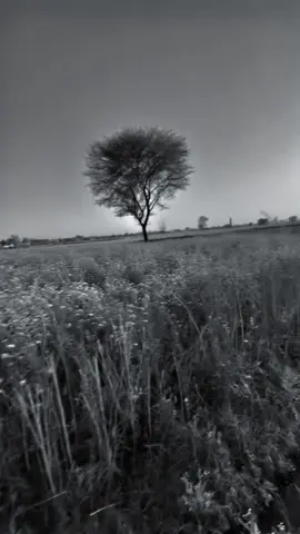 اور وہ جو تعمیر ہونے والی تھی💔🥀 لگ گئی آگ اس عمارت میں ـ🖤#foryoupage #fyp #foryou 