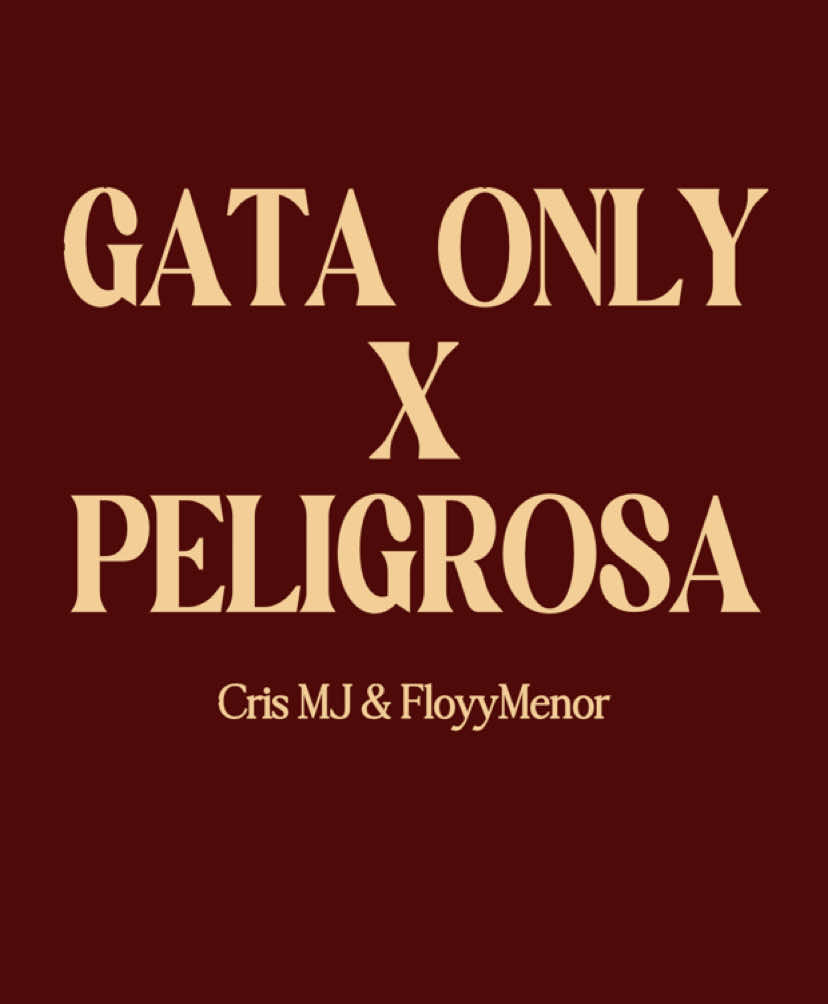 Gata Only x Peligrosa >>  @𝟑𝟎𝟑 thunderclouds  #foryoupage #musicvibes #lyrics 