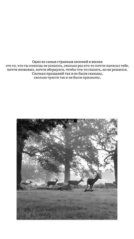 Сколько прощаний так и не были сказаны, сколько чувств так и не были признаны.