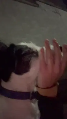 #CapCut 