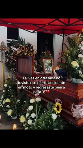 #primo 🕊️💔 #💔🕊️ 