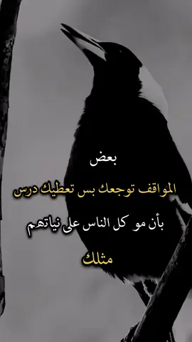 #عبارات_جميلة_وقويه😉🖤 #افضل_عبارة_لها_تثييت #عباراتكم_الفخمه🦋🖤🖇 #عبارات 