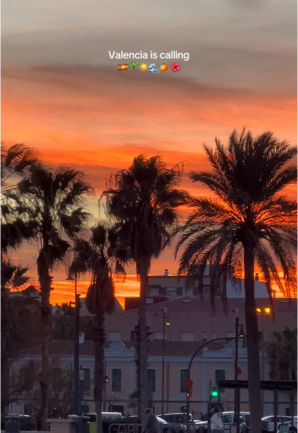 When Valencia calls, always answer 😉📞 #valencia #valenciaspain #livingabroad #happyplace #palmtrees #fiesta #traveltok #hotspots  