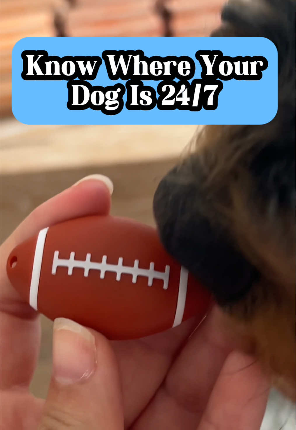 The Perfect Keychain to know where your dog is 24/7 #lostdog #dogkeychain #dogsafety #dogsoftiktok 