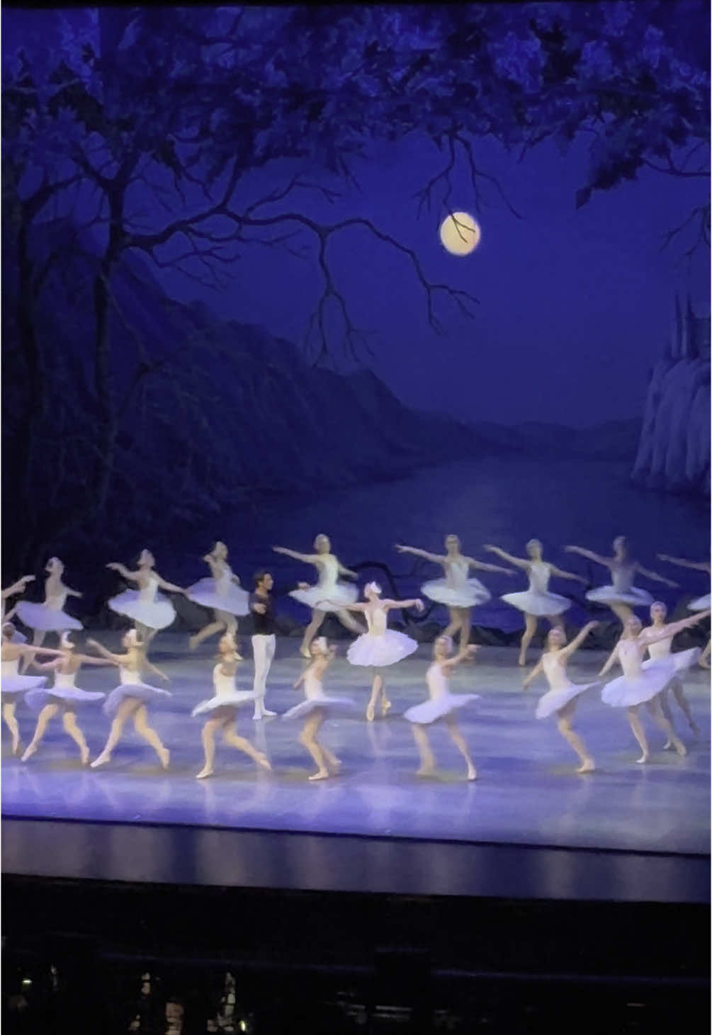 Mon tout premier Lac des Cygnes, un rêve de petite fille 🩰🦢  Les décors et les costumes étaient si beaux. Sincèrement à voir !  #ballet #ballerina #lacdescygnes #swanlake #swanlakeballet #sortiraparis #paris #passculture #pourtoi #fyp