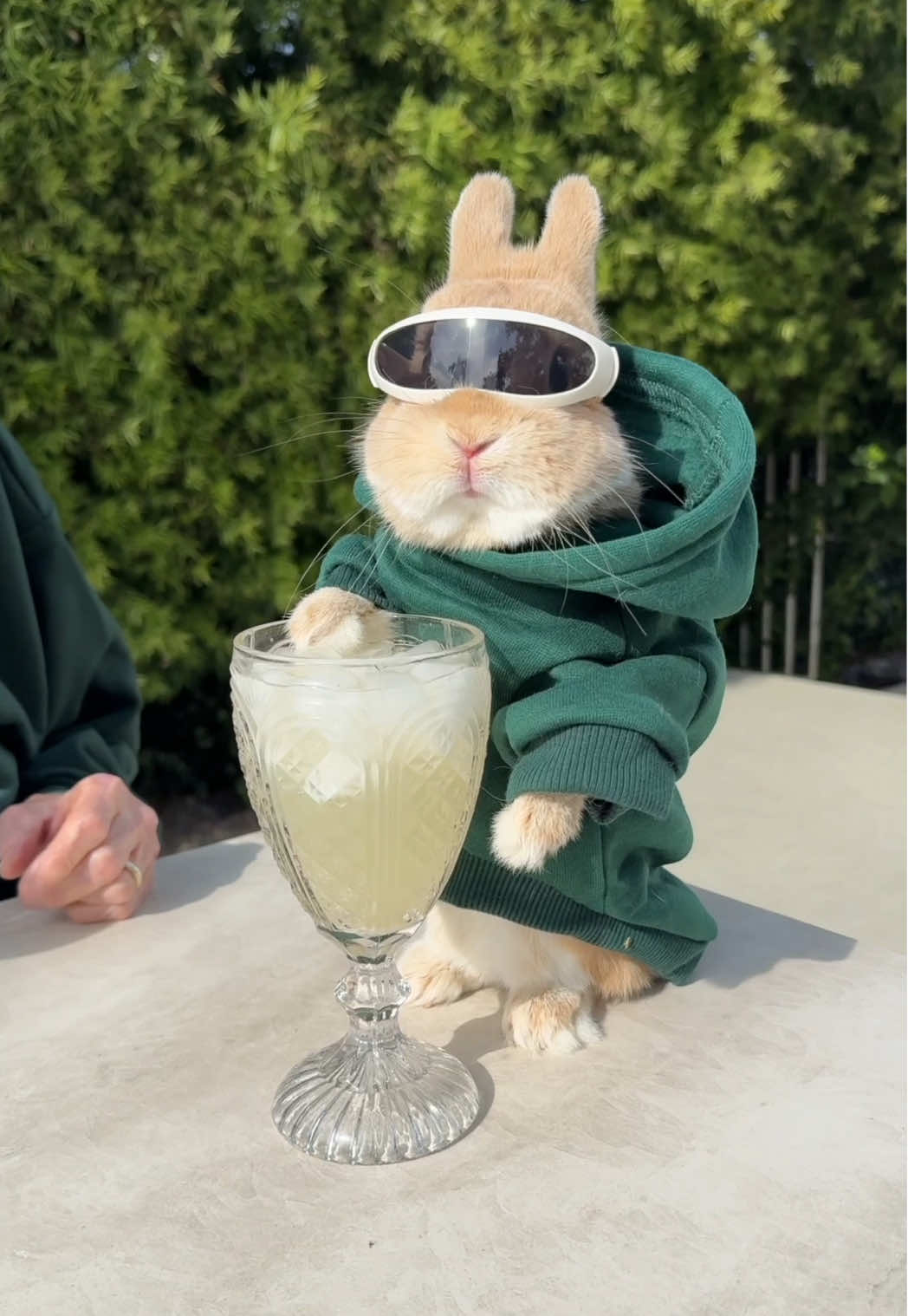 Easter Bunny & Granny Vibing🐰 #happyeaster 