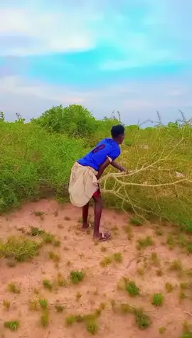 #fyp #fouryou #viral_video #muqdisho #somalitiktok #soomaali #@Maska madoow🆎️🦁 @wa siirka maaliyada @kiiney yusuf @Aliyare @abdi salaan dheere @Abdi Aziiz Taagane @simaney @Niciima nalka👸❤️ @Degan Abdi👸❤️ @aarka cad cadey🅰️🆎️🆎️✅️🇸🇴 