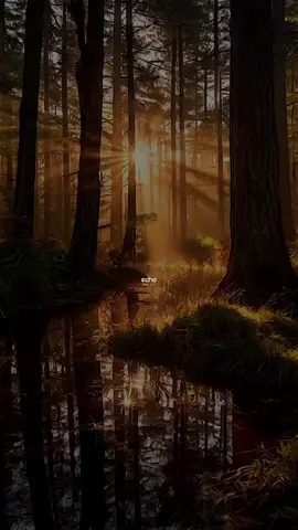 Hamari Adhuri Kahani 💔  #hamariadhurikahani #bollywoodsong #hearttouching #tiktok #trending #foryoupage #fyp #cute #romance #echomusicpipeline #echomusicpipeline🤘🤘🤘 #echomusicpipeline_withtrendingartists🤘 