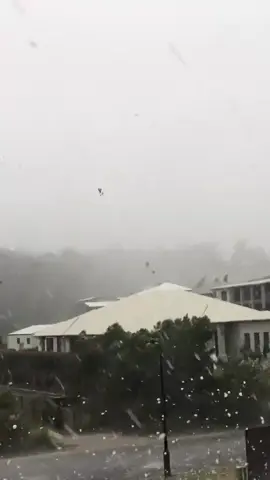 #next #disaster #nature #crazy #huge #hailstorm #australia 🇦🇺 