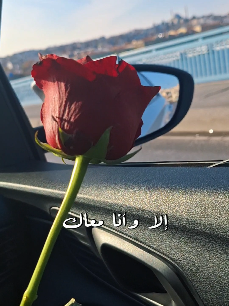 إلا وأنا معاك .. 🌹🕊#CapCut #ترند #مساء_الخير  #اعادة_النشر🔃 #أحلى_رسمة #فضل_شاكر #مشواري_مع_الحب #عائلتي #تصميم_فيديوهات🎶🎤🎬 #togetherforever  #ستوريات #حالات_واتس #حبو  #goodvibes #Love #عاشقة_الورد #fyp #viraltiktok #viral #زوجي  #nanoyaz #chef_nour #تصويري 