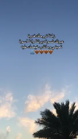 تحبني وماتذب غيضك عليه  🫂🤎🤎🤎🤎🌷#ترندات_تيك_توك 
